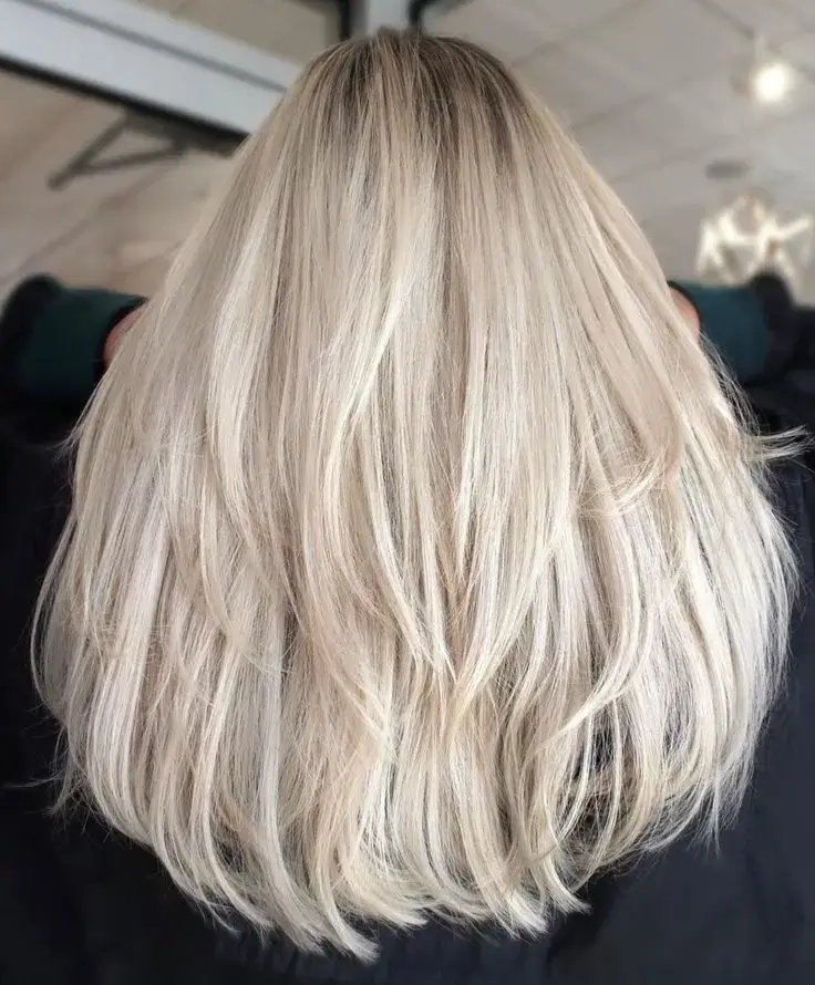 Back view of long, fine blonde hair.