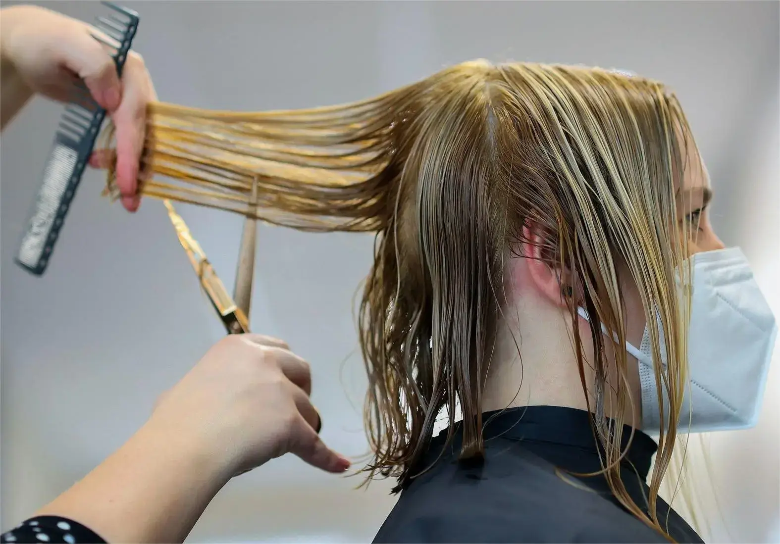 Hairdresser cutting wet hair with mask on.