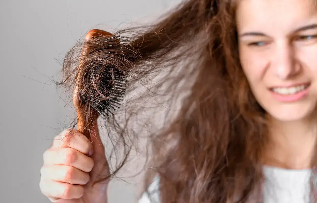understanding dry and frizzy hair